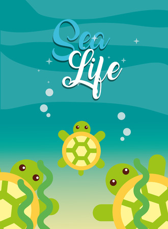 turtles and seaweed under the sea life vector illustrationのイラスト素材