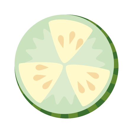cucumber slice fresh food vector illustration designのイラスト素材