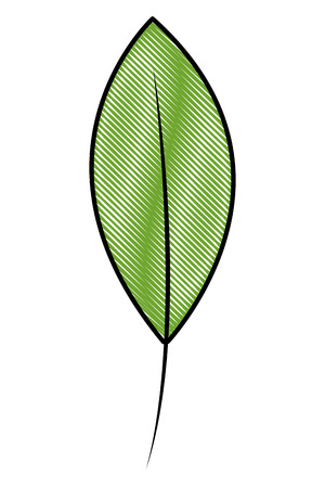 green leaf natural foliage image vector illustration drawingのイラスト素材