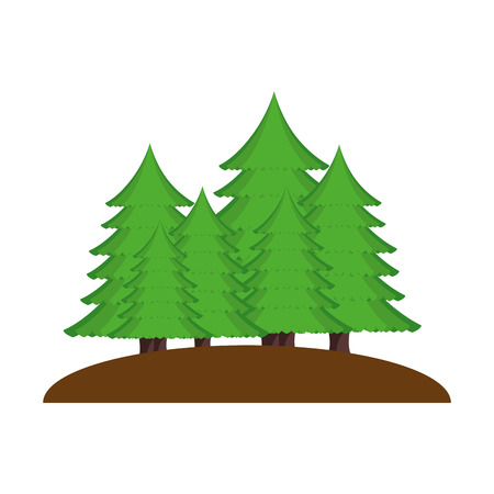 pines trees forest scene vector illustration designのイラスト素材