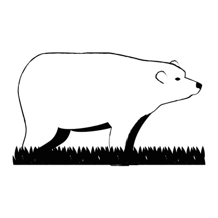 wild bear grizzly icon vector illustration designのイラスト素材