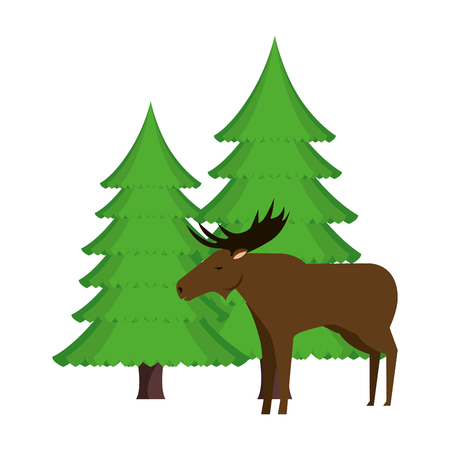Canadian elk wild with pines forest vector illustration designのイラスト素材