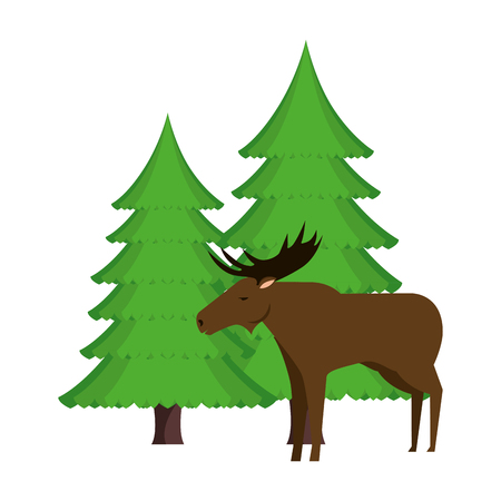 Illustration pour Canadian elk wild with pines forest vector illustration design - image libre de droit