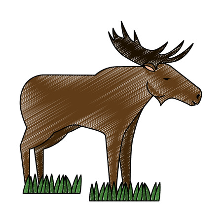 Canadian elk wild icon vector illustration designのイラスト素材