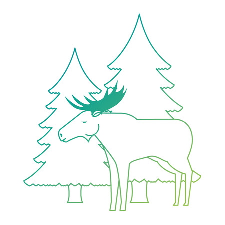 Canadian elk wild with pines forest vector illustration designのイラスト素材