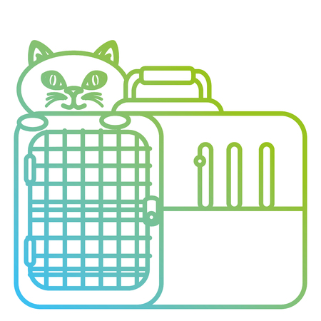 little cat with box transport vector illustration designのイラスト素材