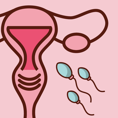 pregnancy fertilization female reproductive spermatozoon vector illustrationのイラスト素材