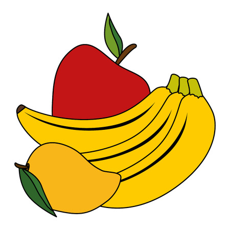 fresh fruits set menu vector illustration designのイラスト素材