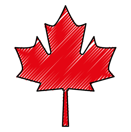 maple leaf isolated icon vector illustration designのイラスト素材