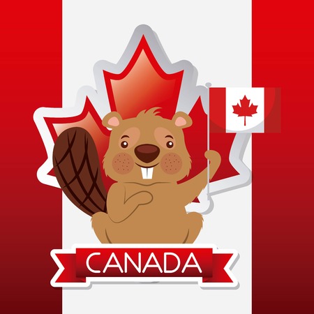 canada day flag background cute beaver with red ribbon vector illustrationのイラスト素材