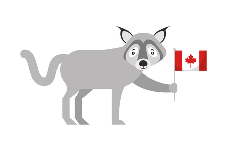 wolf holding canadian flag character vector illustrationのイラスト素材