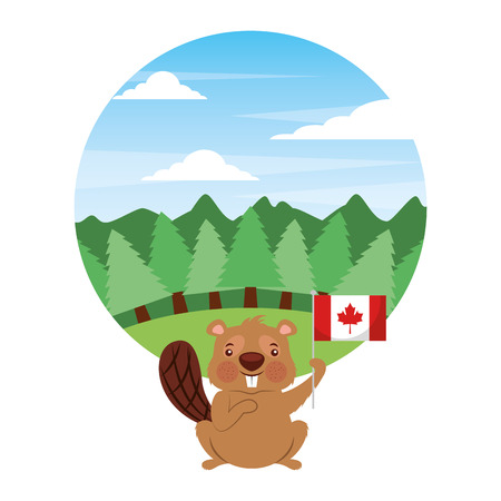 cute beaver holding flag of canada in forest vector illustrationのイラスト素材