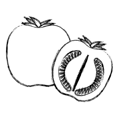 fresh tomato slide healthy food vector illustration designのイラスト素材