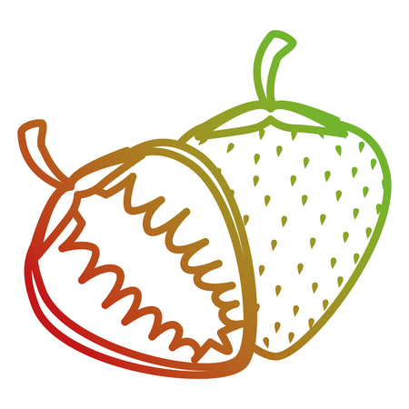 strawberry fresh fruit healthy vector illustration designのイラスト素材
