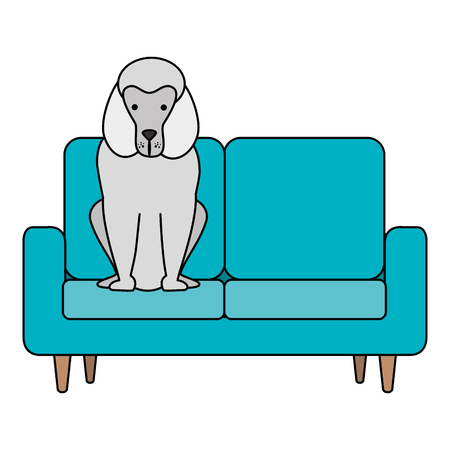 cute dog pet in the sofa character vector illustration designのイラスト素材