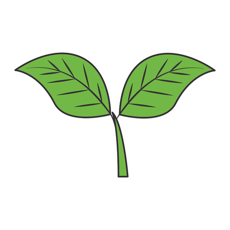 leafs plant ecology emblem vector illustration designのイラスト素材