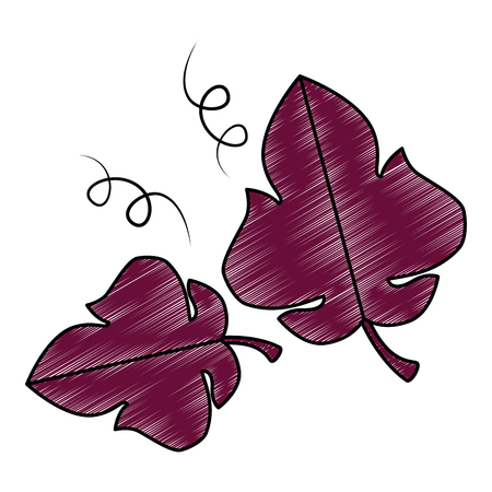 grape leafs isolated icon vector illustration designのイラスト素材