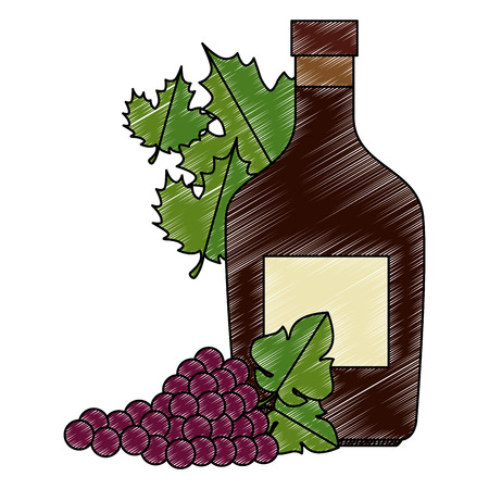 wine bottle and grapes cluster and leafs vector illustration designのイラスト素材