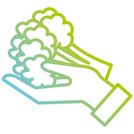 hand lifting fresh broccoli vector illustration designのイラスト素材