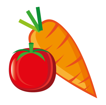 fresh tomato and carrot vector illustration designのイラスト素材