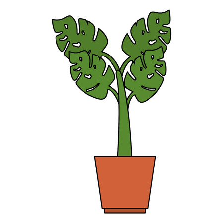 house plant in pot vector illustration designの写真素材