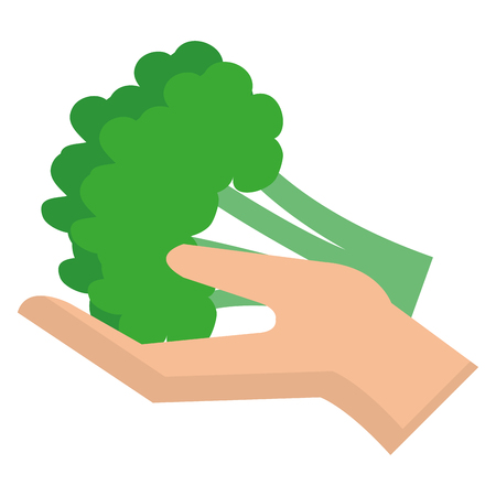 hand lifting fresh broccoli vector illustration designのイラスト素材