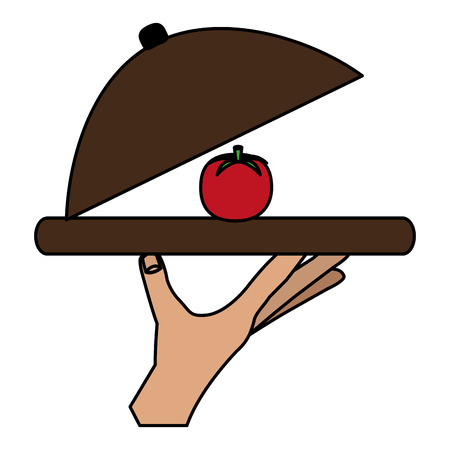 fresh tomato in tray vector illustration designのイラスト素材