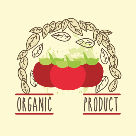 tomatoes vegetable menu organic product brochure vector illustrationのイラスト素材