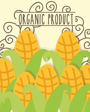 organic product fresh vegetables corn vector illustrationのイラスト素材