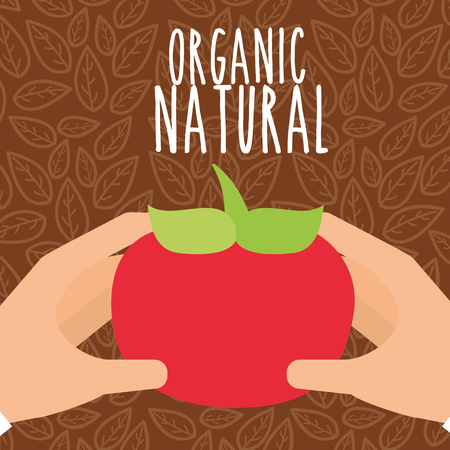 hands with tomato vegetable organic natural vector illustrationのイラスト素材