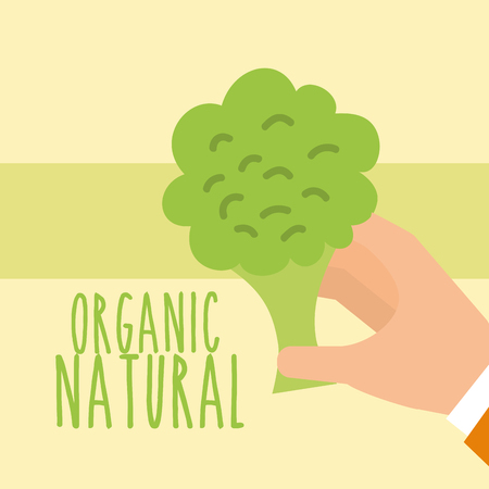 hand holding broccoli vegetable fresh vector illustrationのイラスト素材