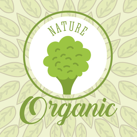 leaves background broccoli nature organic vector illustrationのイラスト素材
