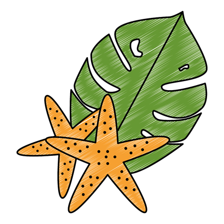 exotic and tropical leafs and starfish vector illustration designのイラスト素材
