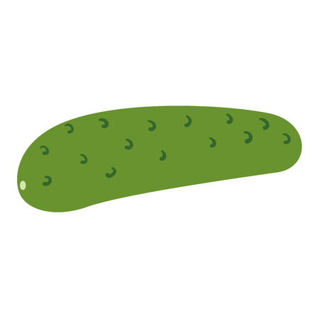 fresh cucumber vegetarian food vector illustration designのイラスト素材