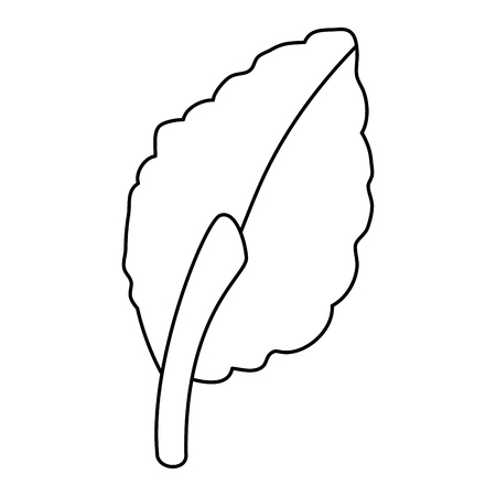 leaf plant isolated icon vector illustration designのイラスト素材