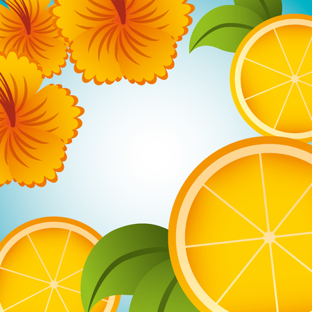 tropical flowers orange leaves summer time vector illustrationのイラスト素材