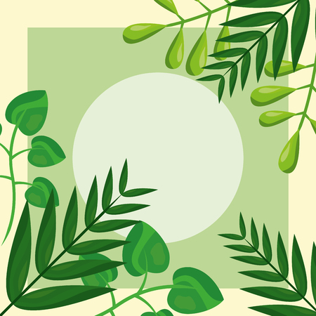 green foliage forest tropical leaves template vector illustrationのイラスト素材