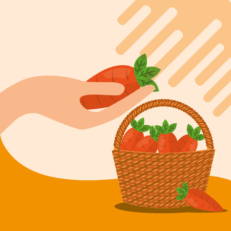 vegetables fresh natural carrot basket vector illustrationのイラスト素材
