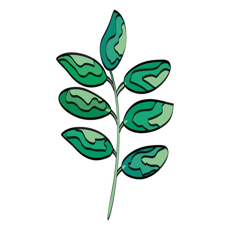 branch with leafs icon vector illustration designのイラスト素材