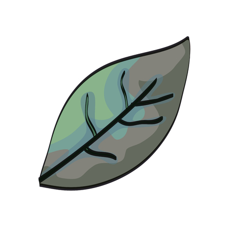 leaf plant ecology icon vector illustration designのイラスト素材