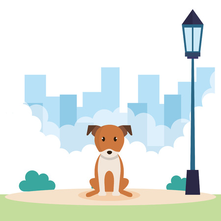 cute dog in park vector illustration designのイラスト素材