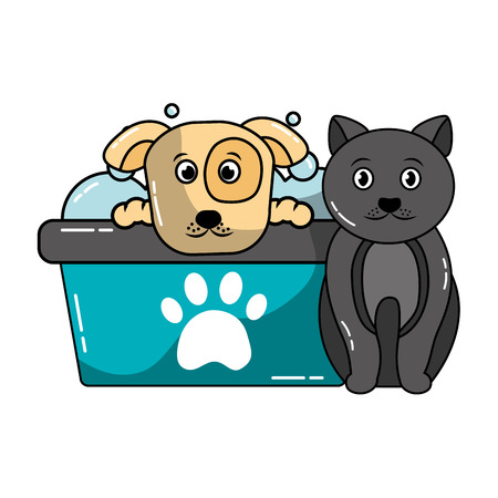 dog and cat pet grooming vector illustrationのイラスト素材