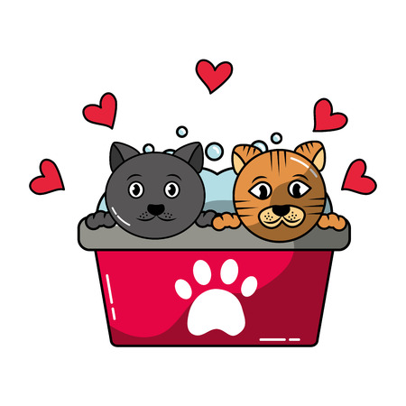 two cats in basin bath grooming pet vector illustrationのイラスト素材