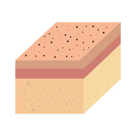 layer of skin type vector illustration designのイラスト素材