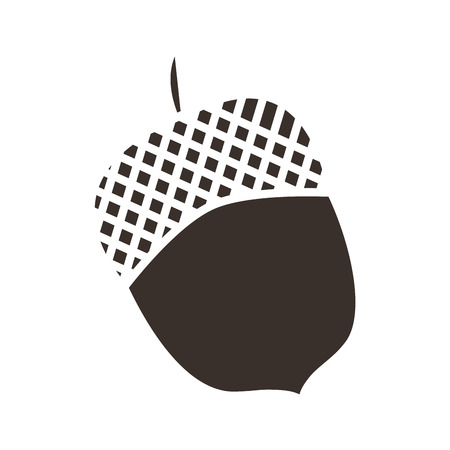 acorn nut on white background vector illustrationのイラスト素材