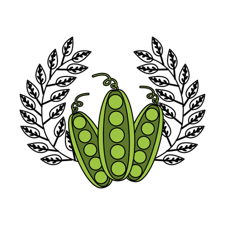 peas leaves fresh organic emblem vector illustrationのイラスト素材