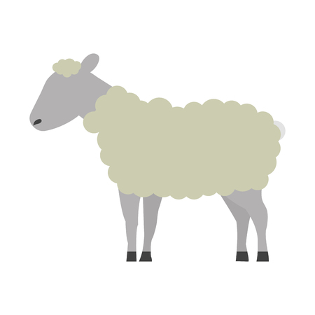 sheep cartoon animal wild life vector illustrationのイラスト素材