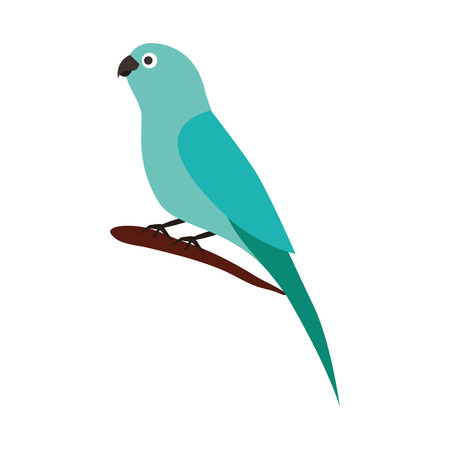 little canary bird on branch vector illustrationのイラスト素材