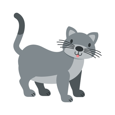 cat pet on white background vector illustrationのイラスト素材