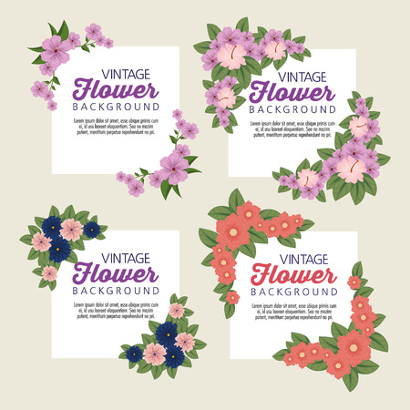 set tropical flowers with petals and leaves vector illustrationのイラスト素材